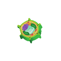 Ebs Utm Sticker by Erindale Biology Society