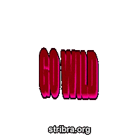Go Wild Neon Sticker by stribra
