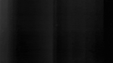 Football Sport GIF by SK Sturm Graz