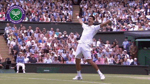 novak djokovic win GIF by Wimbledon