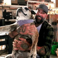 GIF by Animal Planet