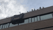 Princeton halloween pumpkin smash physics GIF