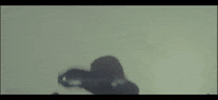 deathwishinc dancing car pumpkin chastity GIF
