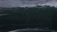 Huge Waves Draw Daredevil Surfers to Sydney Beach