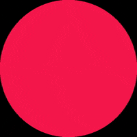 dodgemsandfloss dodgemsandfloss GIF