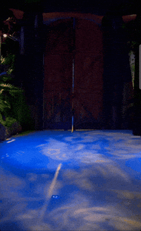 Josh Wichard GIF