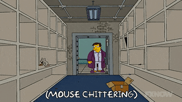 Lisa Simpson GIF by The Simpsons
