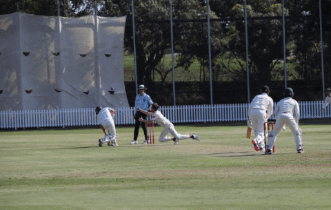 UTS_NSDCC giphygifmaker GIF