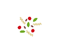 Italian Comida Sticker