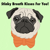 Bow Tie Love GIF