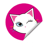 Cat Fashion Sticker by Grupo Tempo de Criança