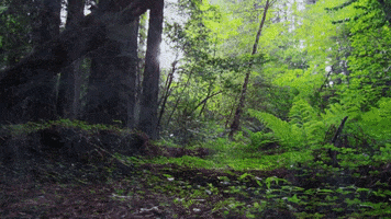 brianaborten  GIF