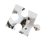 Puzzle Haustier Sticker by katzenart