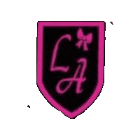 Champions Irish Sticker by Ashling Daly