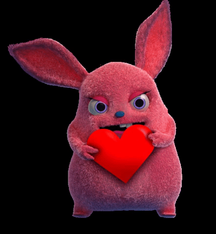 GIF by Imagic Park
