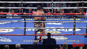 danny garcia omg GIF by SHOWTIME Sports