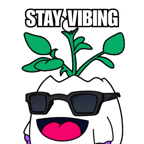 Good Vibes Deal With It GIF by Magic Eden