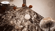 Lab Onf GIF by Alex Boya