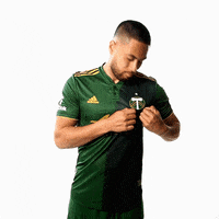 Portland Timbers Sport GIF by Timbers