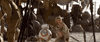 GIF by Star Wars