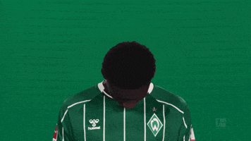 Werder Bremen GIF by Bundesliga