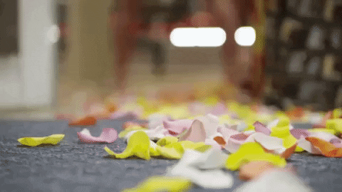 cmt roses GIF by Party Down South