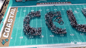 GIF by Coastal Carolina University