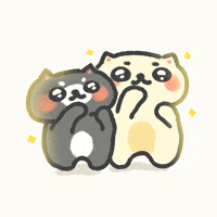 Dance Dancing GIF
