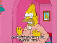 season 13 GIF