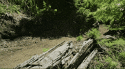 Mountain Bike Party GIF by Santa Cruz Bicycles