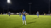Usl2 Lbfc GIF by Lionsbridge FC