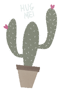 Cactus Hug Sticker