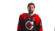 Hockey Echl Sticker by Cincinnati Cyclones