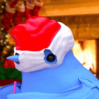 Brrd GIF