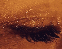 Fire Looking GIF