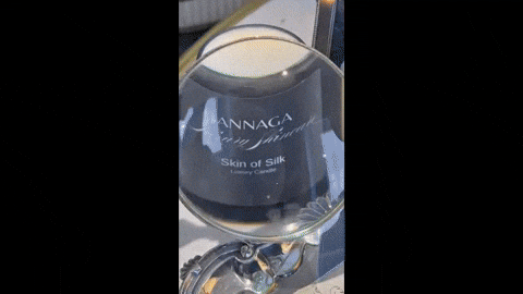 Annaga GIF by SHANNON BALENCIAGA