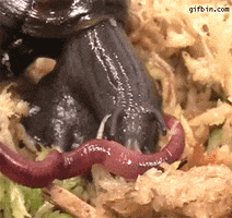 worm GIF