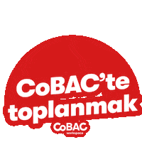 Meeting Istanbul Sticker by CoBAC Workspace