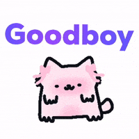 Kitty Meow GIF