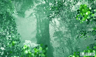 The Giants Forest GIF by Madman Entertainment