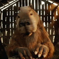 Deporte Walter GIF by Supermatch Uruguay