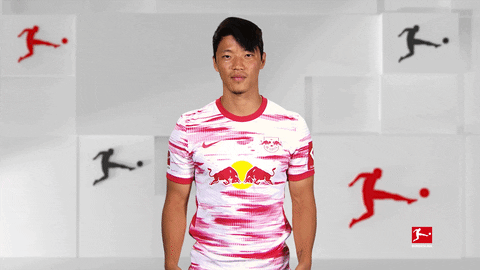 No Idea What GIF by Bundesliga