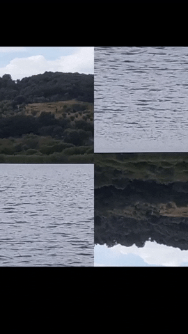 Simongip giphygifmaker GIF