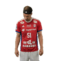 Handball Hamburg Sticker by DAIKIN HBL