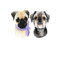 Scooterandmika Sticker by Pickle's Pawtraits