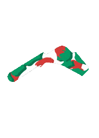 Racing F1 Sticker