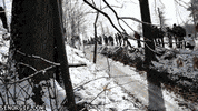 safe GIF