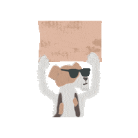 Dog Dogwithglasses Sticker by EasyPets