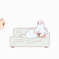 Seal Sofa GIF by Alice Socal