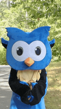 School Celebrate GIF by Middlesex Community College